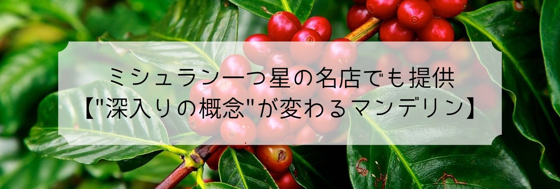 さぁ ノンプラ生活 プラナシスタ ノンプラスチック専門ecoストア ツクツク グルメ 投稿型グルメデーターベース